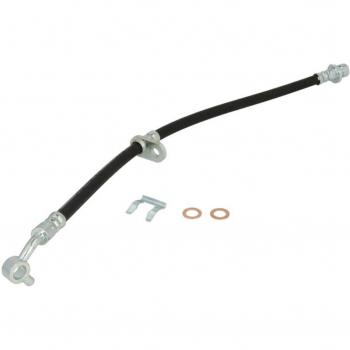 DELPHI Bremsschlauch hinten links