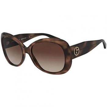Gafas de sol AR8132 573413 color Marrón