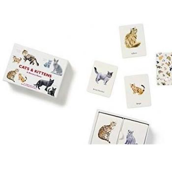 Cats & Kittens