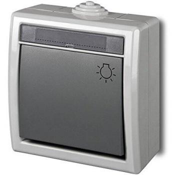 AQUANT Interruttore Superficie 55 grigio