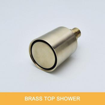 Deluxe Brass Rain Shower Head