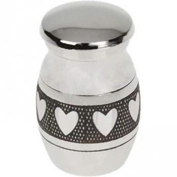 Titanium Steel Keepsake Urn for Pets