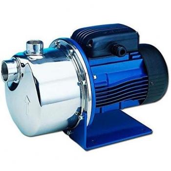LOWARA Pompe à Eau BG9 0,9 KW jusqu'à 3,9 m3/h triphasé 380V