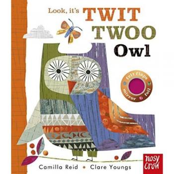 Camilla (Editorial Director) Reid Look, It's Twit Twoo Owl Board book Book