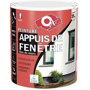 Oxi Peinture appuis fenêtre 15 ans 1L