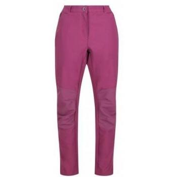 Questra IV Shorts Regata