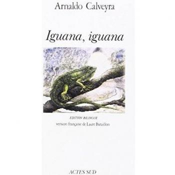 Iguana Iguana