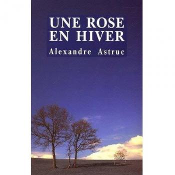 Une rose en hiver