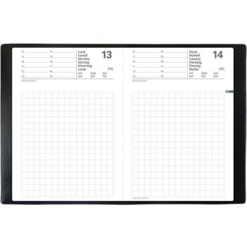 QUO VADIS Taschenkalender , Maor, , 2025, schwarz