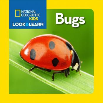 Look and Learn Bugs by National Geographic Kids