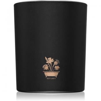 Noble Isle Duftkerze Weidenklang 200 g