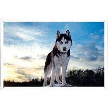 Signo Metálico Husky Muzzle Estampado
