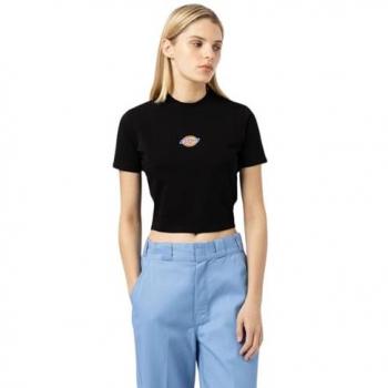 Dickies Kortärmad T-shirt DK0A4XPO