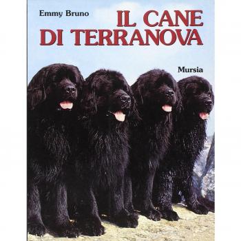 Il cane Terranova