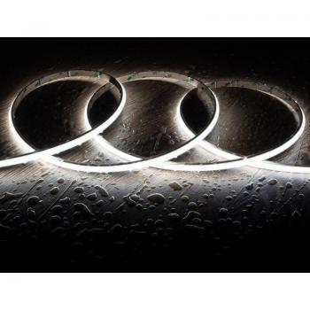 Efectoled Striscia Led 24V 5m Silicone 252LED/Metro 10mm Freddo 5000K IP65