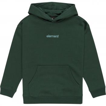Element Youth Trekking Green Hoodie with Logo