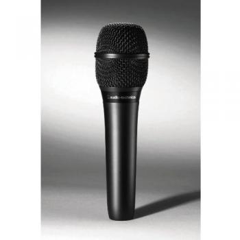 Audio-Technica AT2010