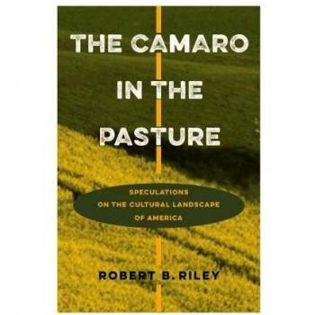 The Camaro in the Pasture by Robert B. Riley