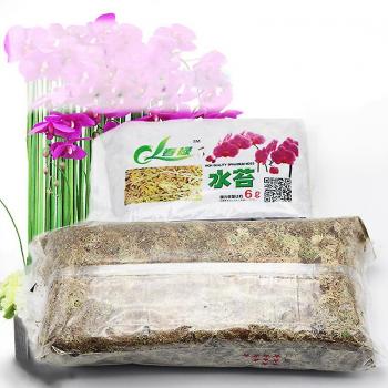 Mousse de Sphagnum 12L – Nutriment Floral Phalaenopsis Coloré