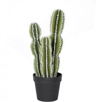 Nortene Cactus Castillo de Hadas 62 cm – Arte Verde Interior/Exterior