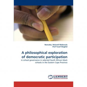 A philosophical exploration of democratic participation