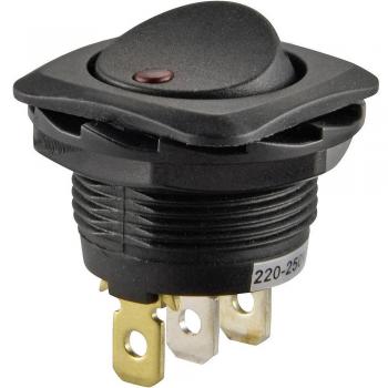TRU COMPONENTS Schalter TC-R13-135B2-02 250 V/AC 10 A 1 x Aus/Ein