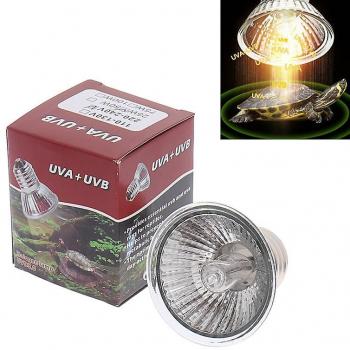 Ampoule UV 75 W régulée température – Lampade reptile – Shanghai Yiting