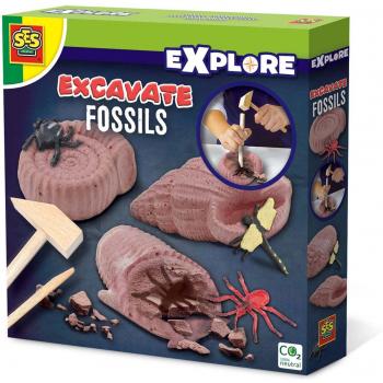 Ses Fossili di Opgraven – Esperienza Interattiva