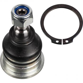 Ball Joint (Lower) ADC48605