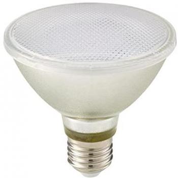 Par30 Dimbare Licht – Sigor Luxar Glass