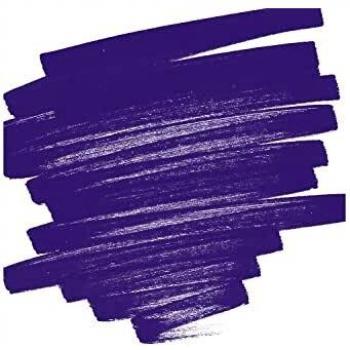 Penna Pittorica Pilot SW‑PT‑F‑V Viola 1 mm