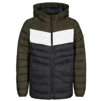 JACK & JONES Jungen Steppjacke JJESPRINT olive | 140