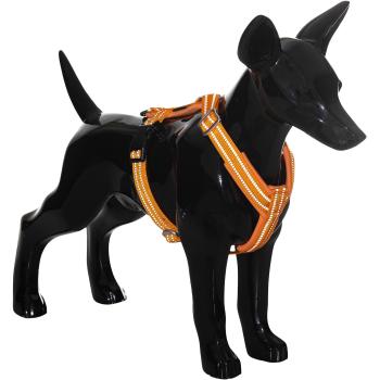 PAIKKA Veiligheidsriem Oranje L