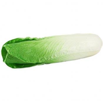 Fake Lettuce Home Decor