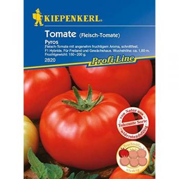 Kiepenkerl Pyros Tomate F1