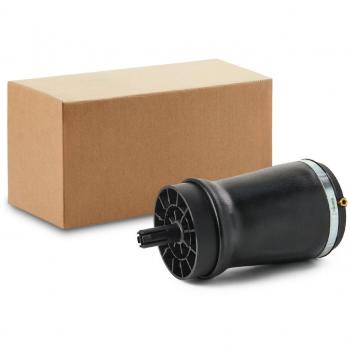 Land Rover Luftfeder, Fahrwerk – RIDEX 4119A0097