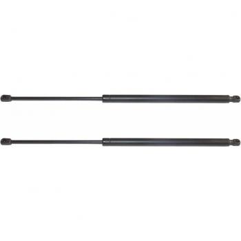 BHE79054 Tailgate Lift Supports