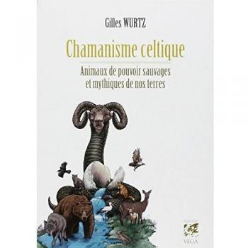 Chamanisme celtique