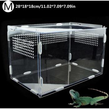 Hoge Transparante Reptielen Terrarium