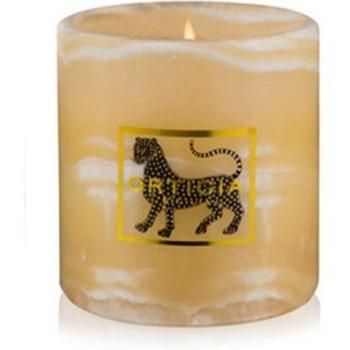 Vela Decorativa Higo Chumbo 250 g