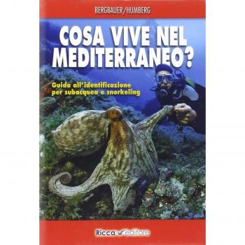 Cosa vive nel Mediterraneo? Guida all'identificazione per i subacquea e snorkeling