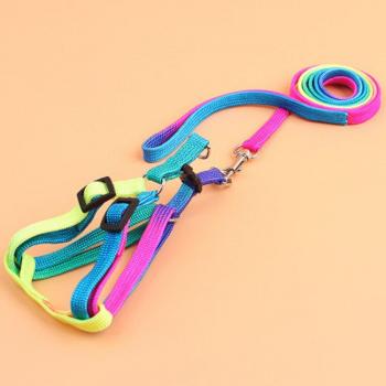 Correa de Nylon Práctica para Mascotas