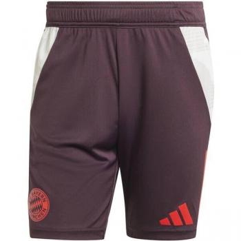 Adidas Träningsbermuda IS9949
