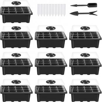 Seedling Trays with Dome and Base