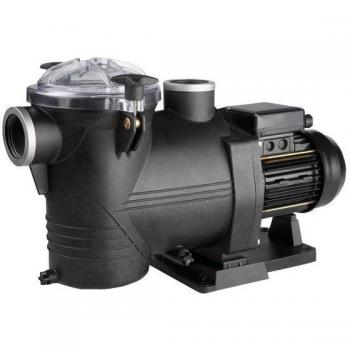 Discovery 2 CV Monopompe pour Piscine Astralpool