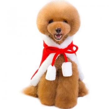 Vístete de Invierno: Traje Pet Santa Claus