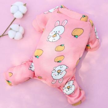 Manteau pour chien