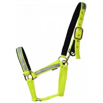 Hipódromo Collar HyVIZ Fieldsafe