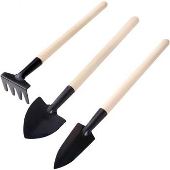 Kit de démarrage pour semis de succulentes