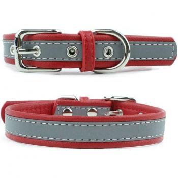 Small Reflective Pet Collar
